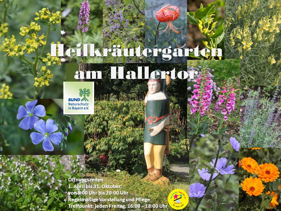 Arbeitskreis Heilkräutergarten Am Hallertor - Nürnberg – BUND ...